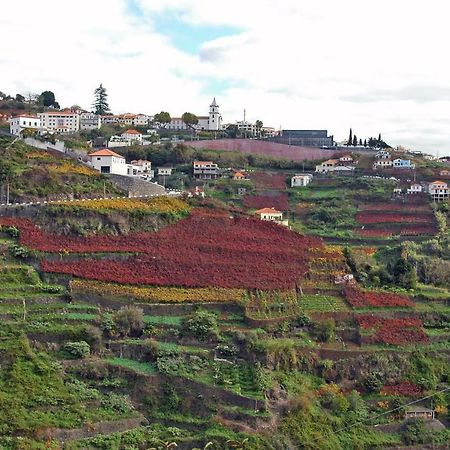 Apartamento Barros Estreito de Camara de Lobos Bagian luar foto