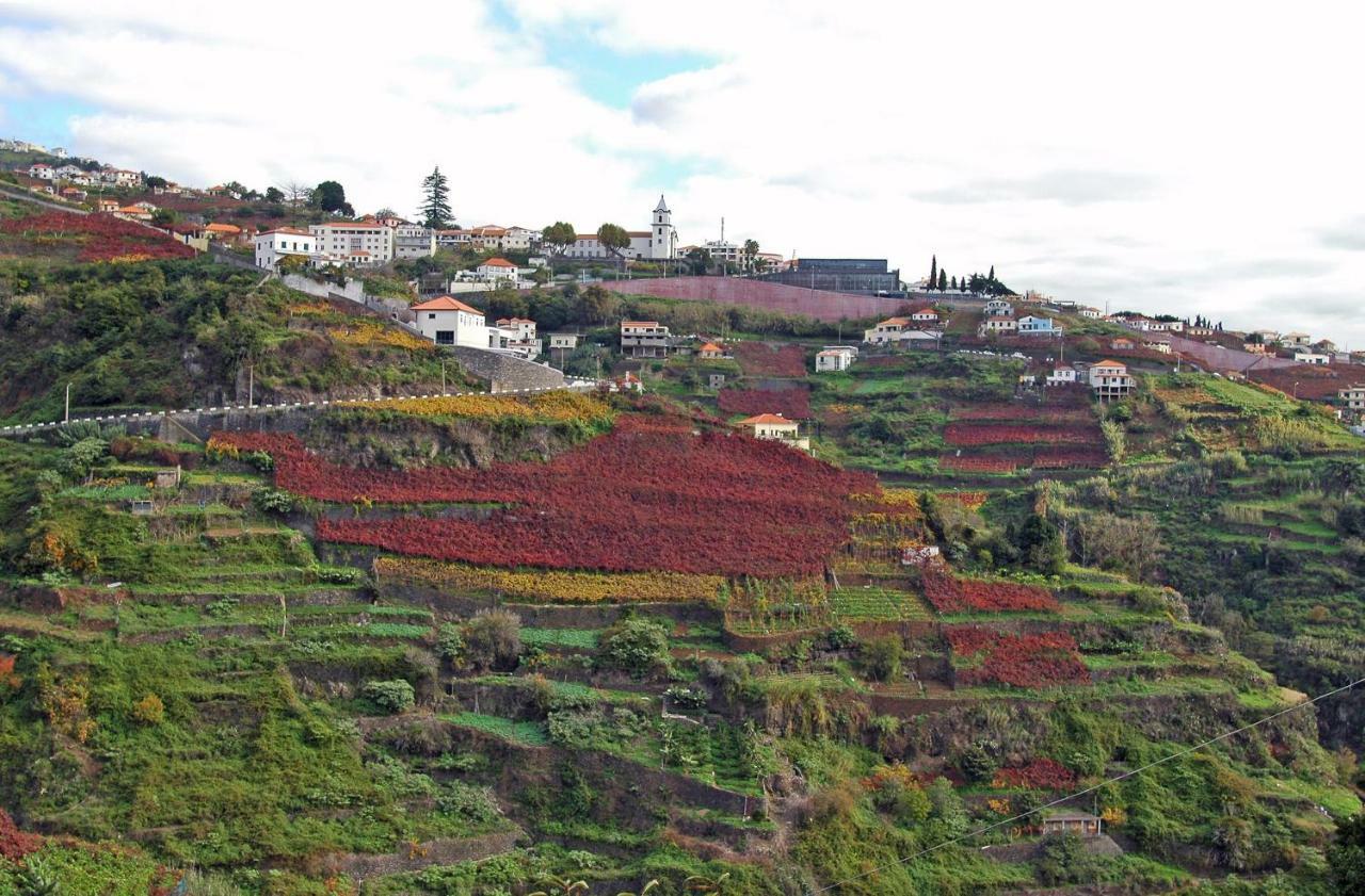 Apartamento Barros Estreito de Camara de Lobos Bagian luar foto