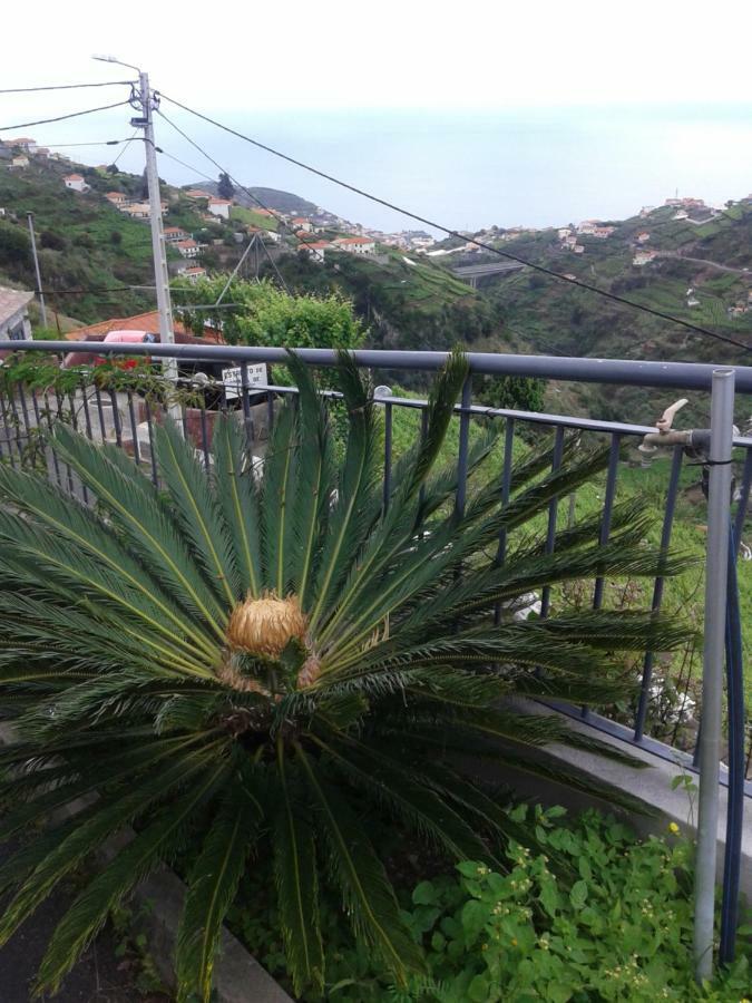 Apartamento Barros Estreito de Camara de Lobos Bagian luar foto